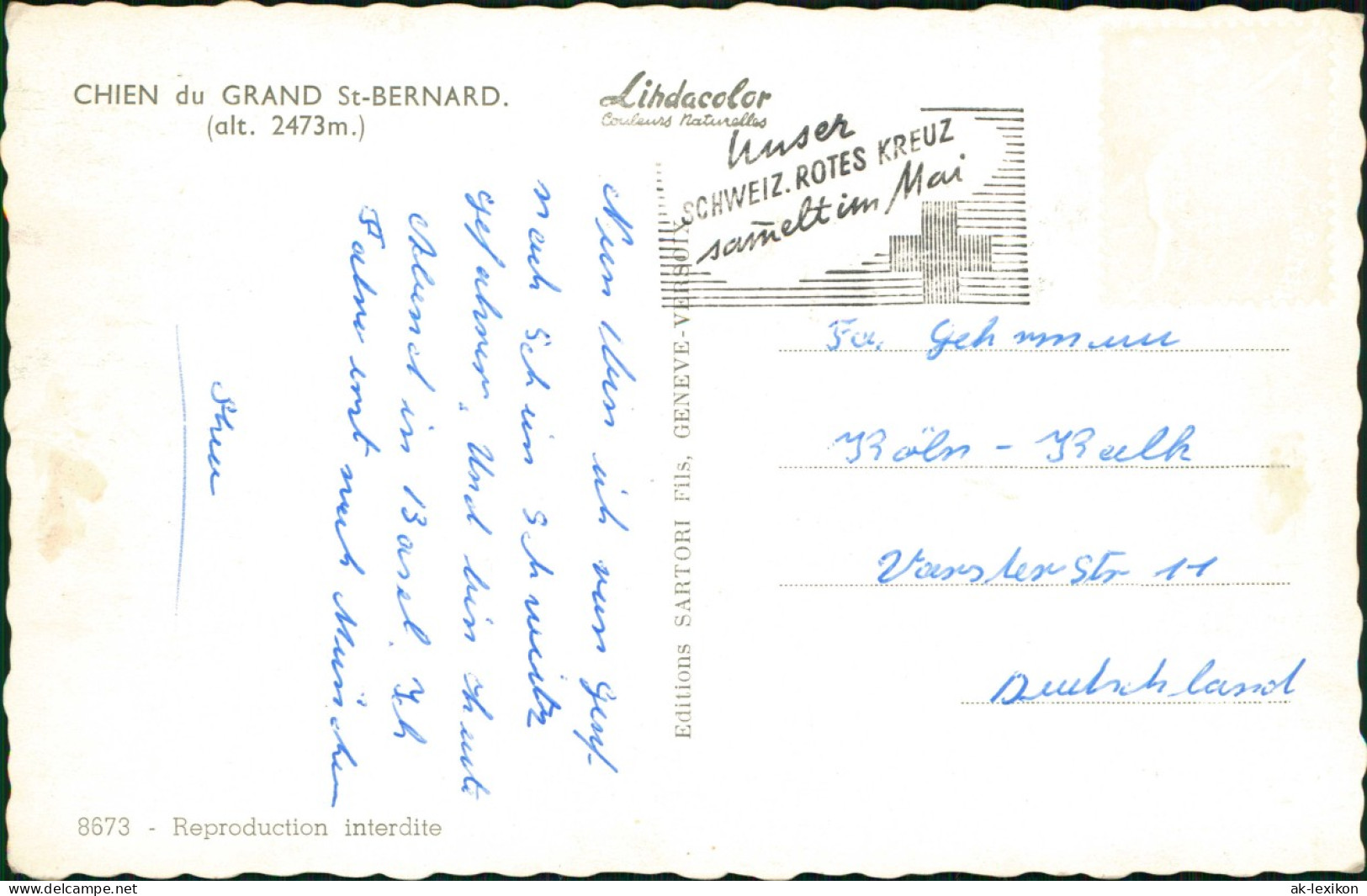 Ansichtskarte .Schweiz CHIEN Du GRAND St-BERNARD; Hund (Dog) 1960 - Sonstige & Ohne Zuordnung