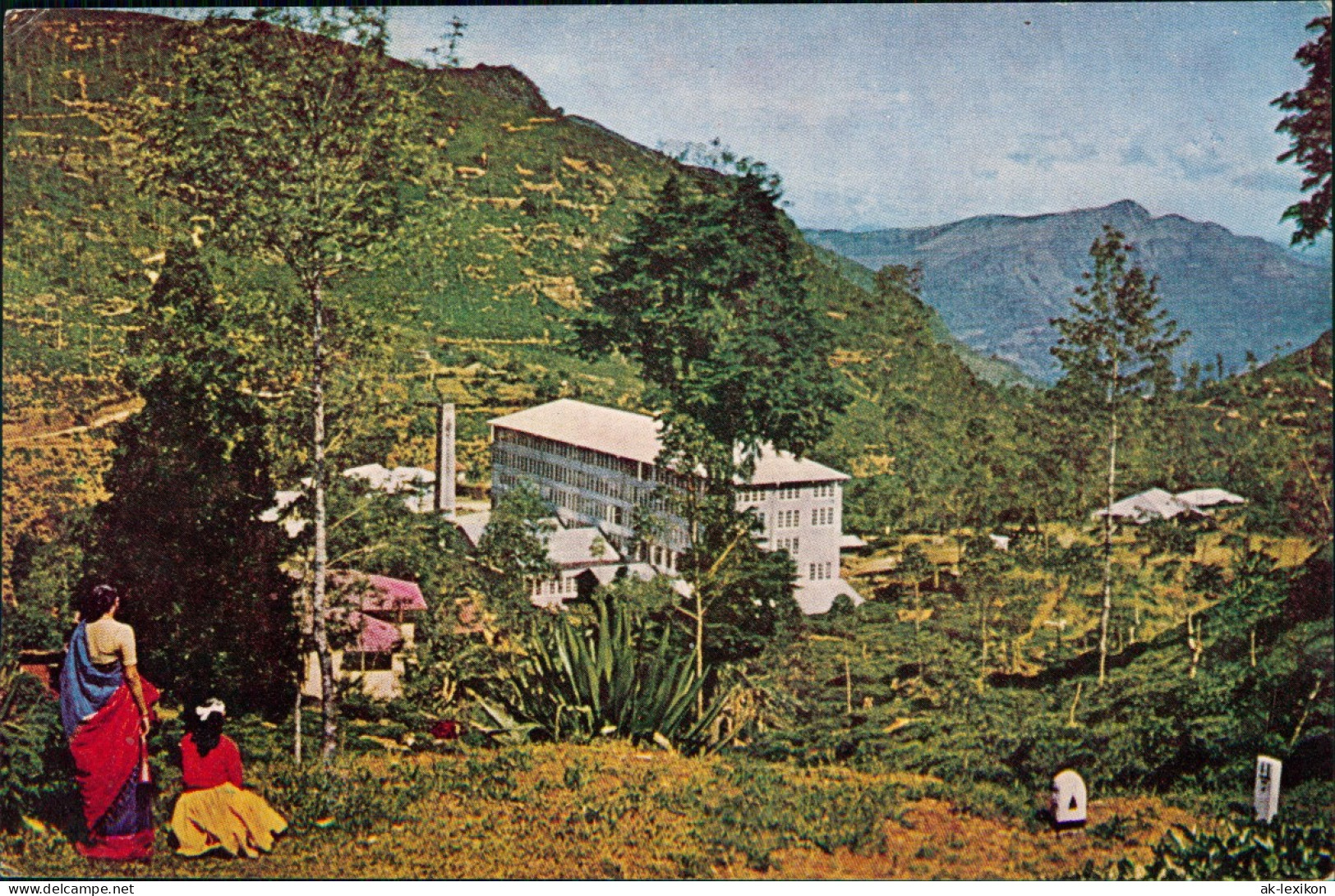 Sri Lanka (Ceylon) TEA FACTORY AND ESTATE NEAR NUWARA ELIYA 1976 - Unclassified