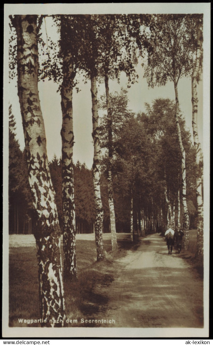 Ansichtskarte Dorfhain-Tharandt Wegpartie Nach Dem Seerenteich 1928 - Tharandt