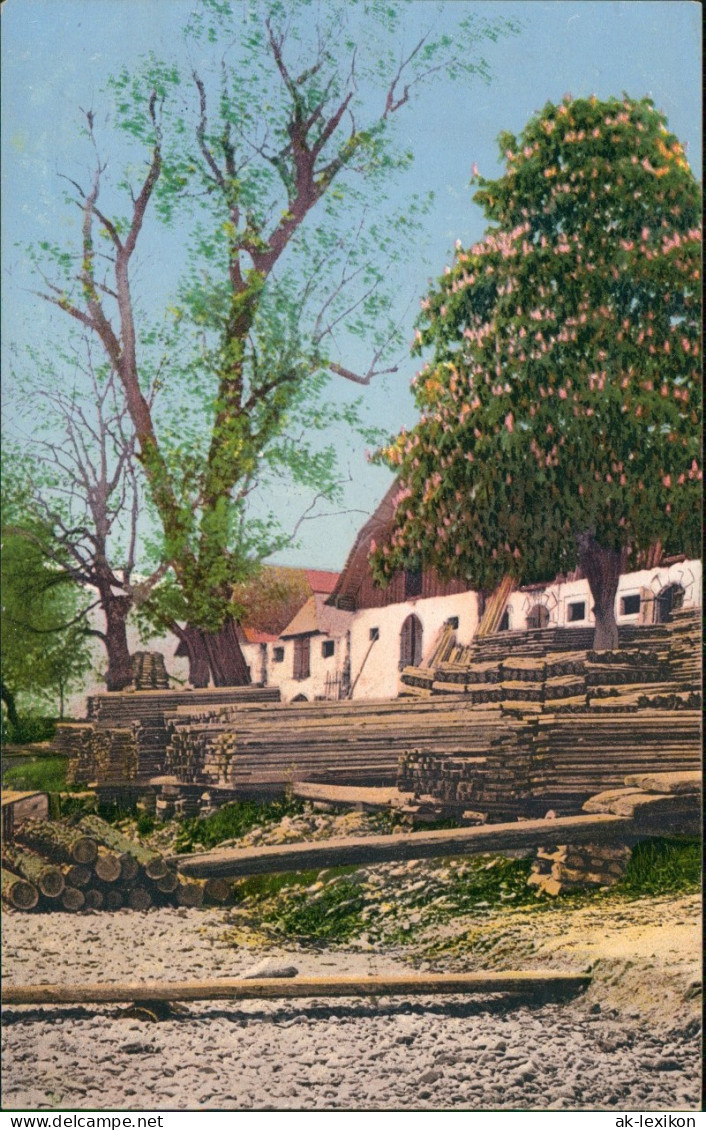 Ansichtskarte  Stimmungsbild: Bäume Am Sägewerk 1913 - 1900-1949