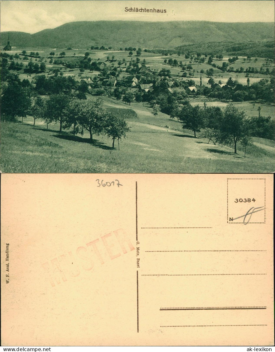 Ansichtskarte Schlächtenhaus-Steinen (Baden) Blick Auf Die Stadt 1917 - Autres & Non Classés