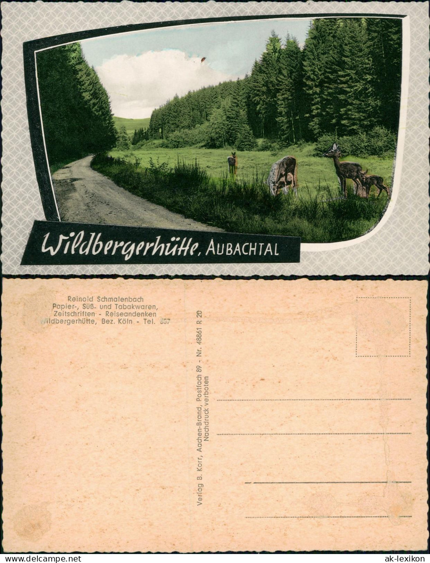 Ansichtskarte Wildbergerhütte AUBACHTAL, Weg - Rehe 1963 - Sonstige & Ohne Zuordnung