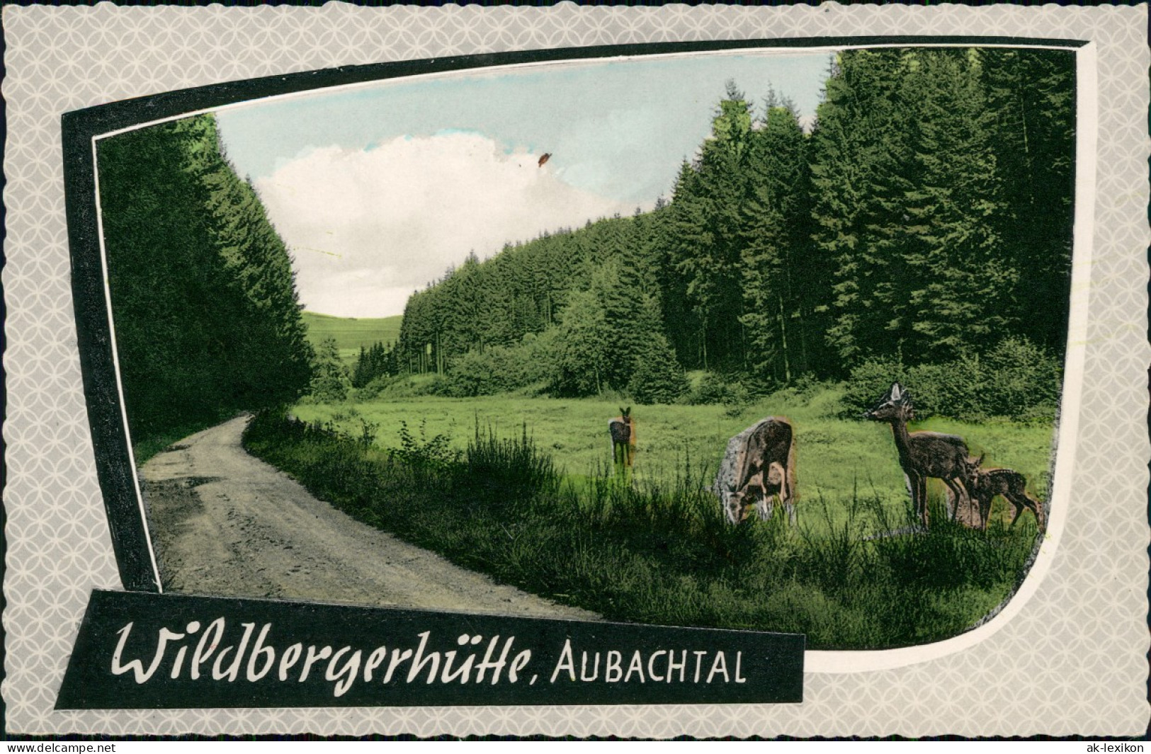 Ansichtskarte Wildbergerhütte AUBACHTAL, Weg - Rehe 1963 - Other & Unclassified