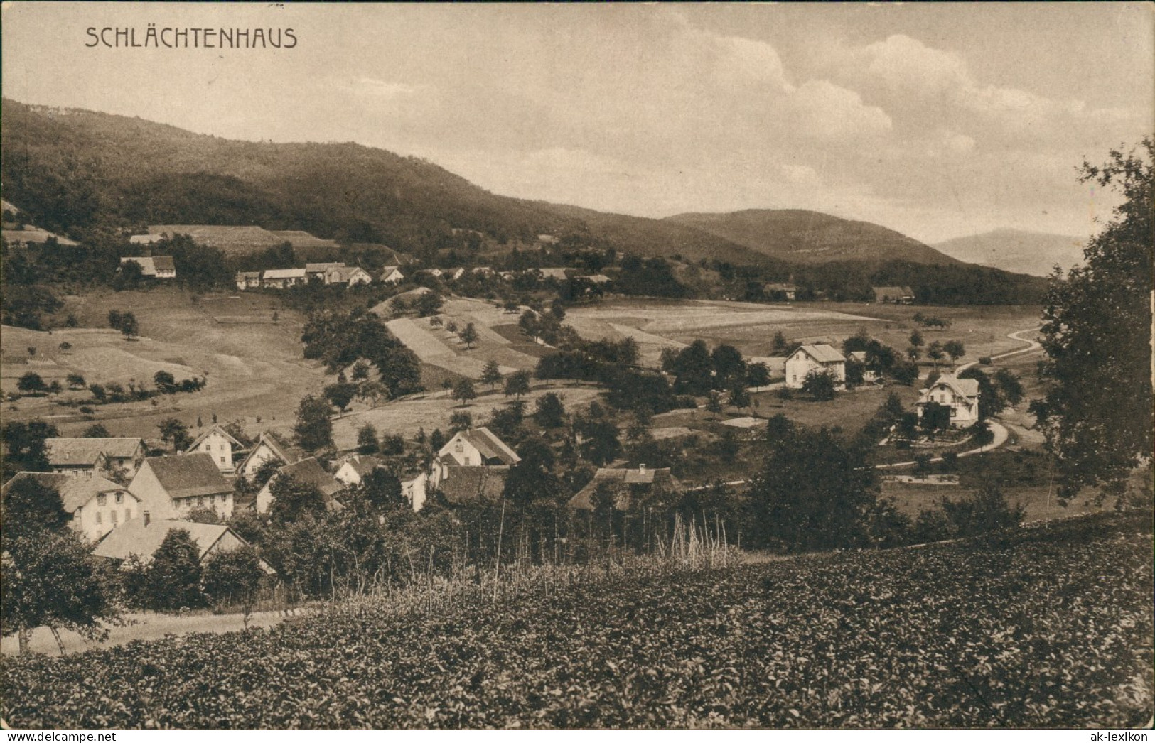 Ansichtskarte Schlächtenhaus-Steinen (Baden) Blick Auf Die Stadt 1913 - Autres & Non Classés