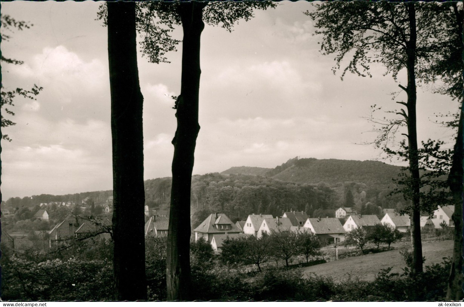 Ansichtskarte Steinbergen-Rinteln Teilansicht Steinbergen Wesergebirge 1955 - Rinteln