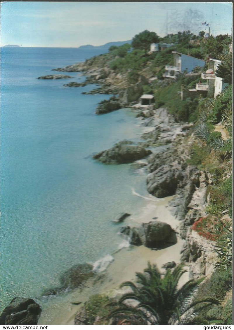 Aiguebelle - Petite Plage Tranquille - (P) - Andere & Zonder Classificatie