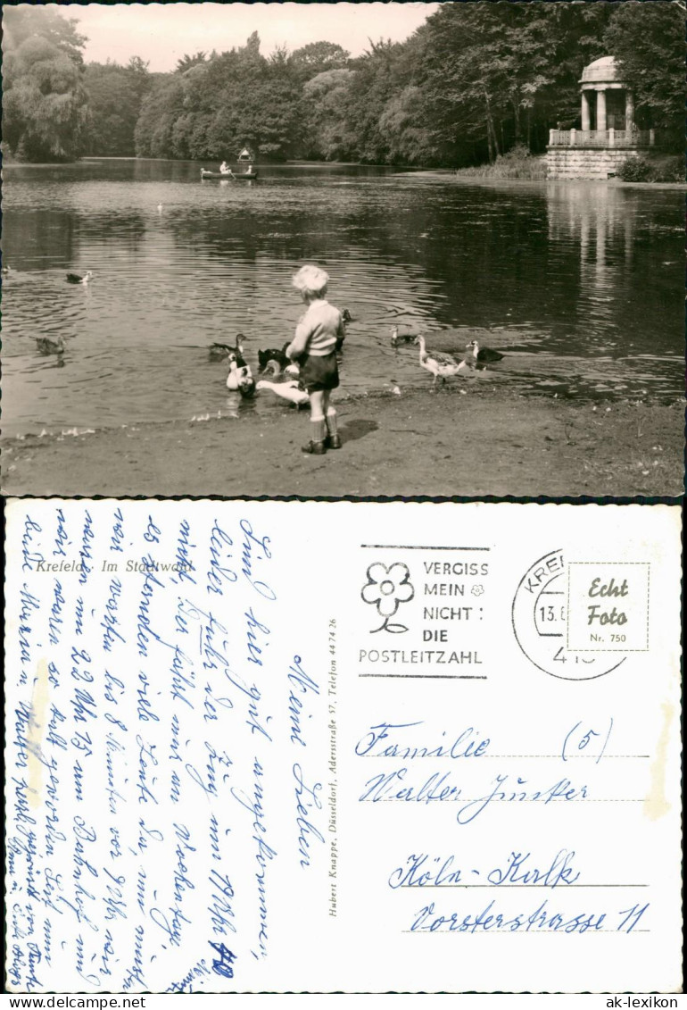 Krefeld Crefeld Stadtpark Stadtwald Teich Mit Ruderboot U. Kl. Tempel 1960 - Krefeld