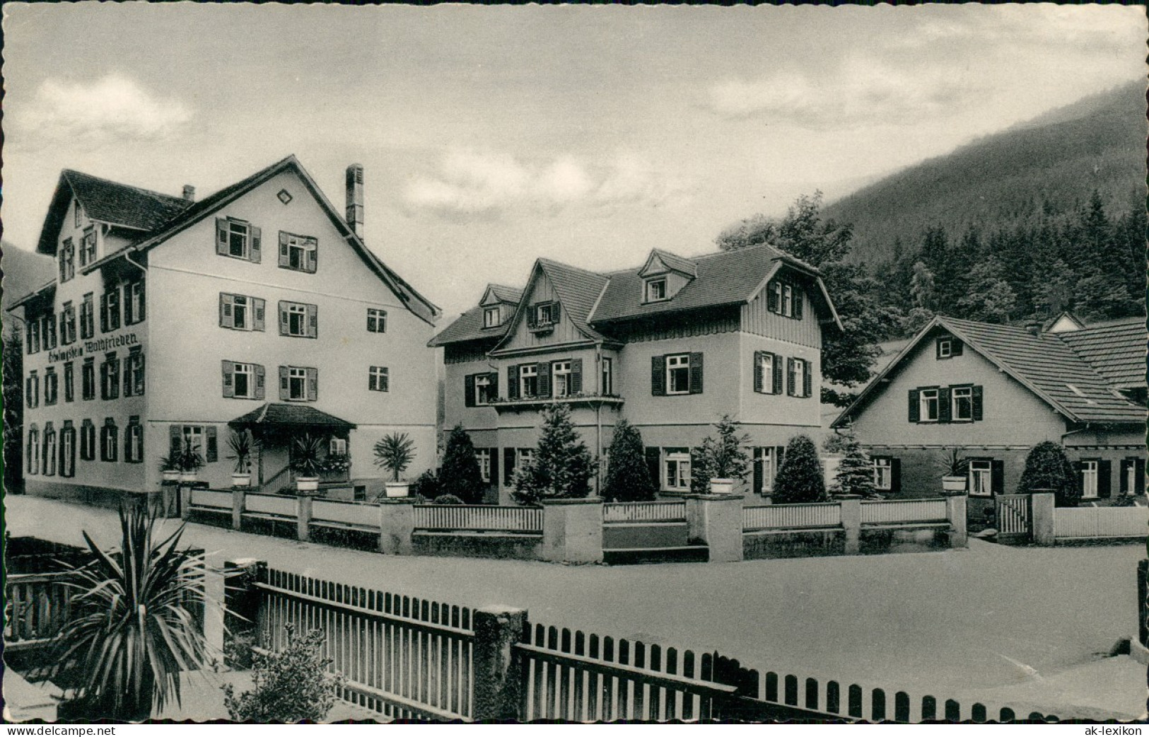 Ansichtskarte Bad Teinach-Zavelstein Kurheim Waldfrieden 1956 - Bad Teinach