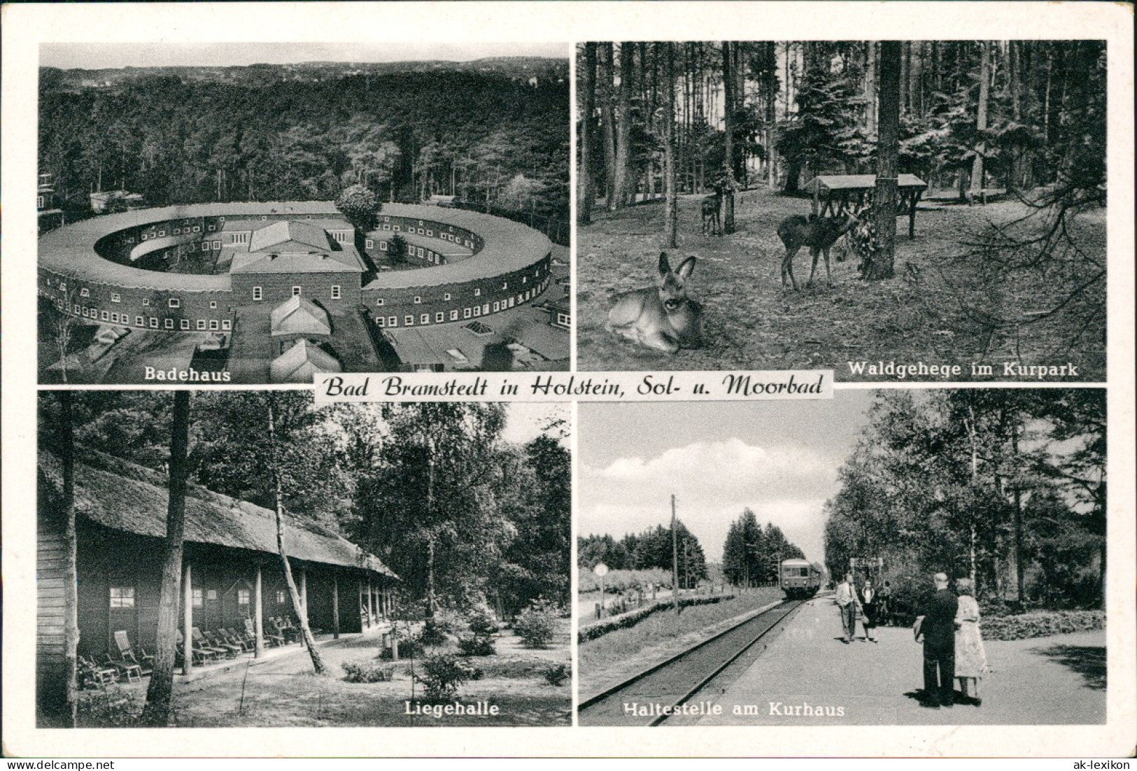 Ansichtskarte Bad Bramstedt Badehaus, Waldgehege, Haltestelle 1956 - Sonstige & Ohne Zuordnung