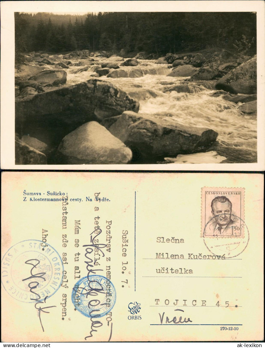 Postcard Rehberg Srní Na Sumava Z Klostermannovy Cesty. Na Výdře. 1952 - Repubblica Ceca