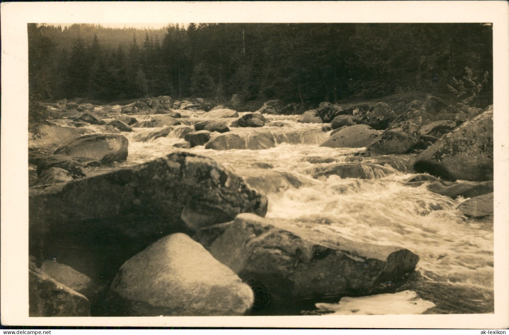 Postcard Rehberg Srní Na Sumava Z Klostermannovy Cesty. Na Výdře. 1952 - República Checa