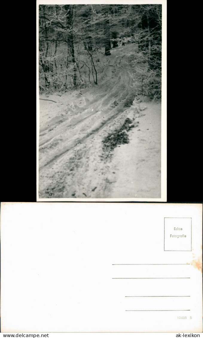 Foto  Stimmungsbild Winter - Waldweg - Fotokarte 1934 Privatfoto - Non Classés