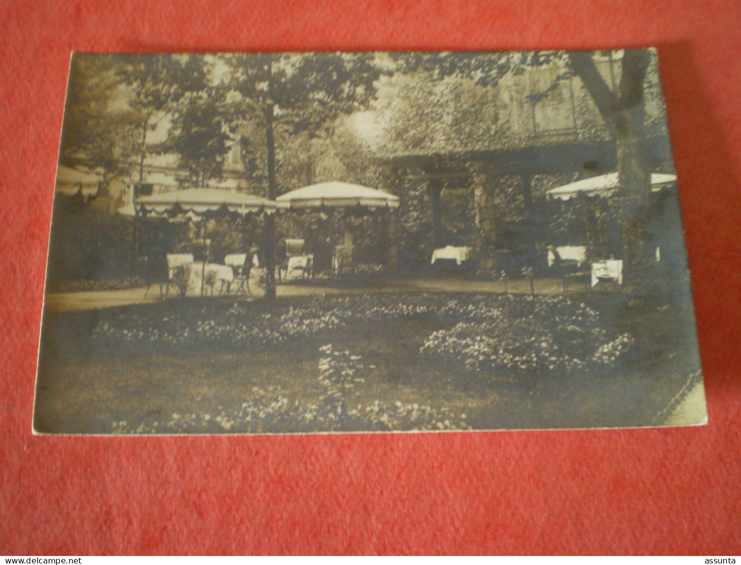 Carte Photo De Géo Barré 180 Rue Amelot Paris, Square Ou Jardin Intérieur ? - Fotografie