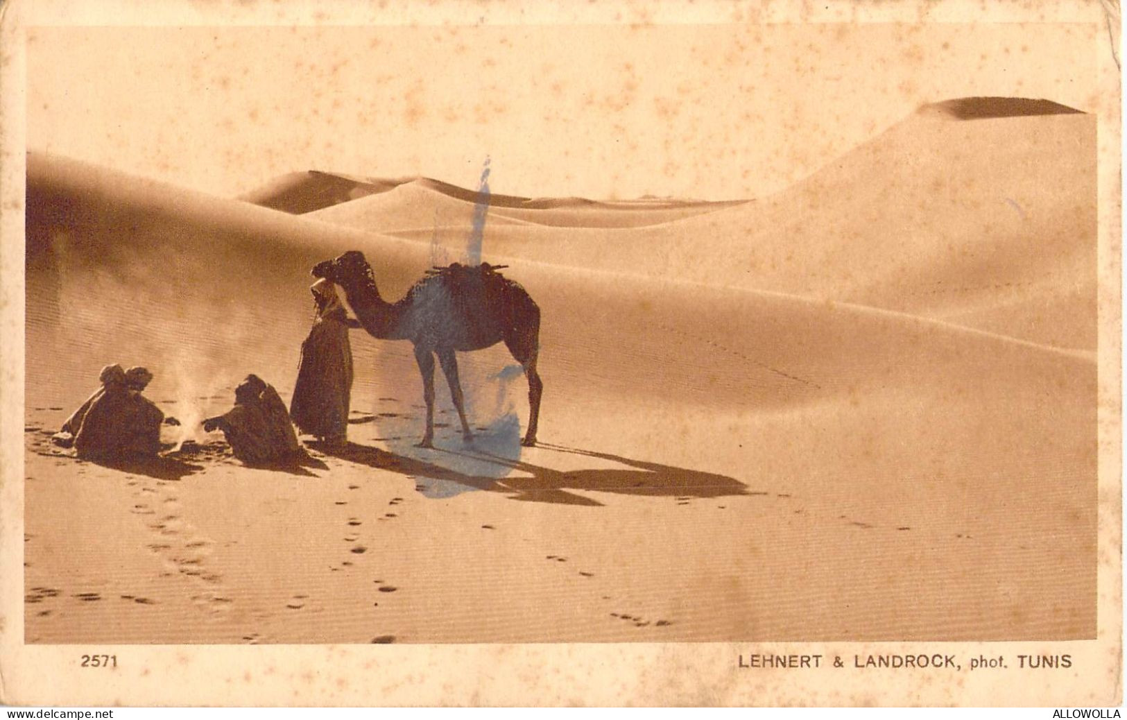 26951 " PAYSAGES D'ORIENT-REPOS DANS LES DUNES " ANIMÉ-VERA FOTO-CART.POST.NON SPED. - Tunisia