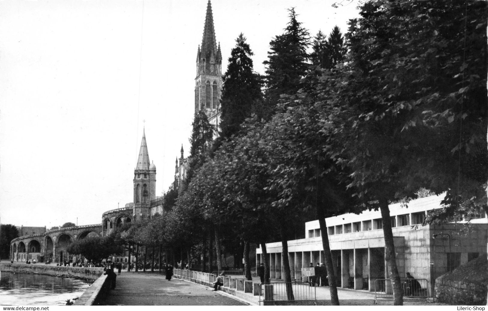 65 Lourdes - Les Piscines Et Le Gave - Cpsm PF - Lourdes