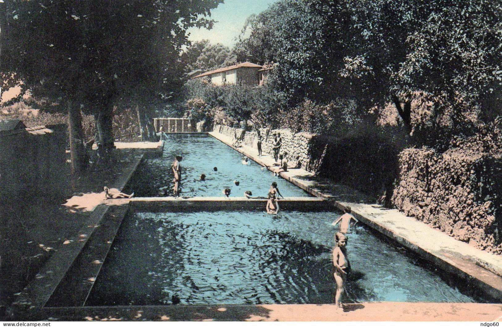 Miliana - La Piscine - Les Belles Sources - Autres & Non Classés