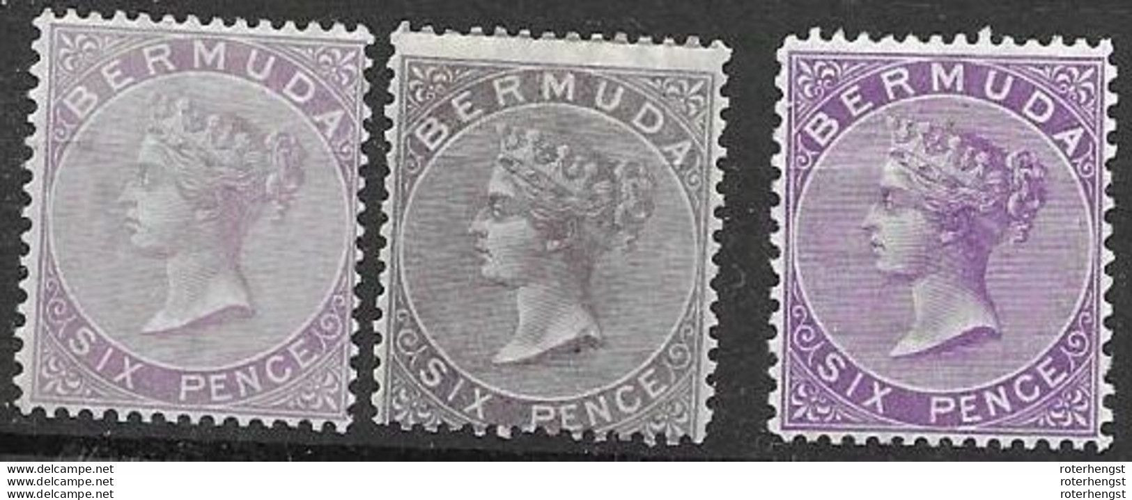 RARE The Three Colours/perfs Bermuda Mh * Lilac And Purple 1257 Euros 1874 , 1865 And 1903 Respectively - Other & Unclassified