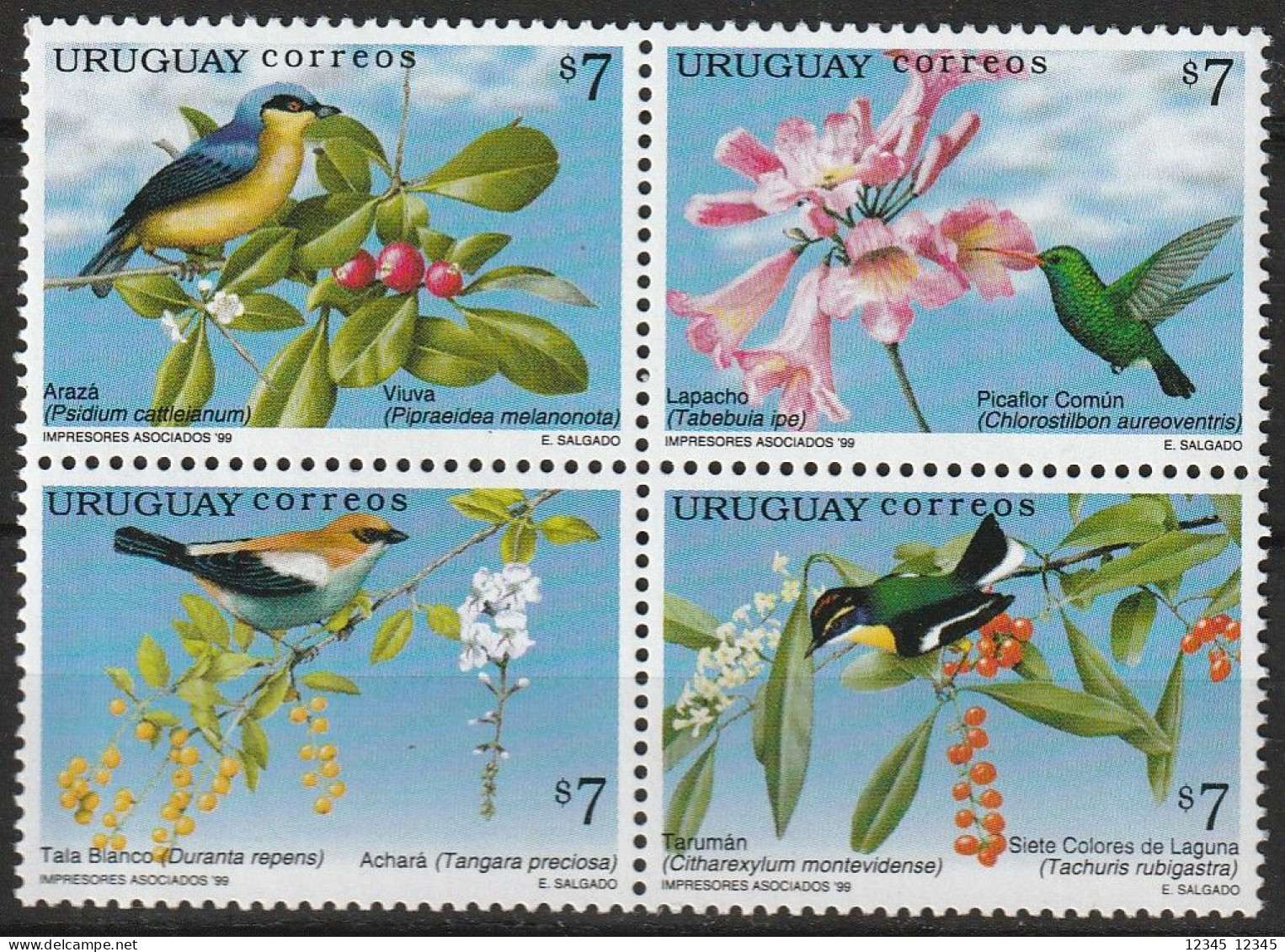 Uruguay 1999, Postfris MNH, Birds, Trees - Uruguay