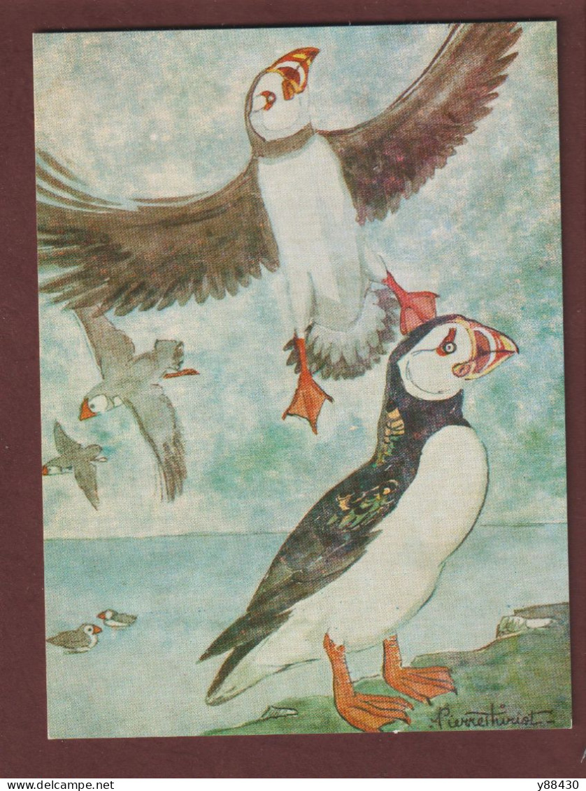 Carte Postale - LES OISEAUX = LE MACAREUX - Aquarelle De Pierre THIRIOT -  Édition L.P.O. à Paris - 2 Scan - Birds