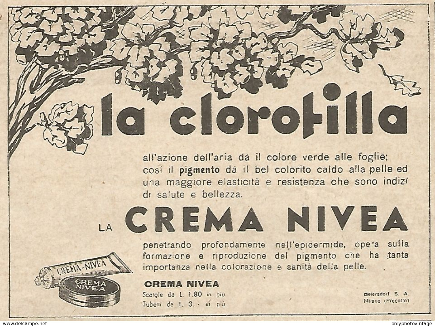 Crema NIVEA - La Clorofilla... - Pubblicità Del 1934 - Vintage Advertising - Publicités