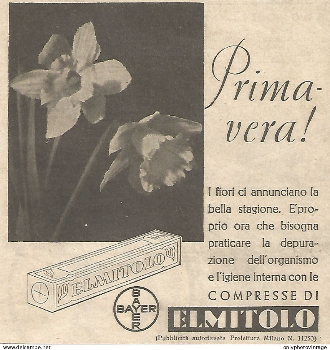 ELMITOLO - Bayer - Primavera!... - Pubblicità Del 1934 - Vintage Advert - Publicités