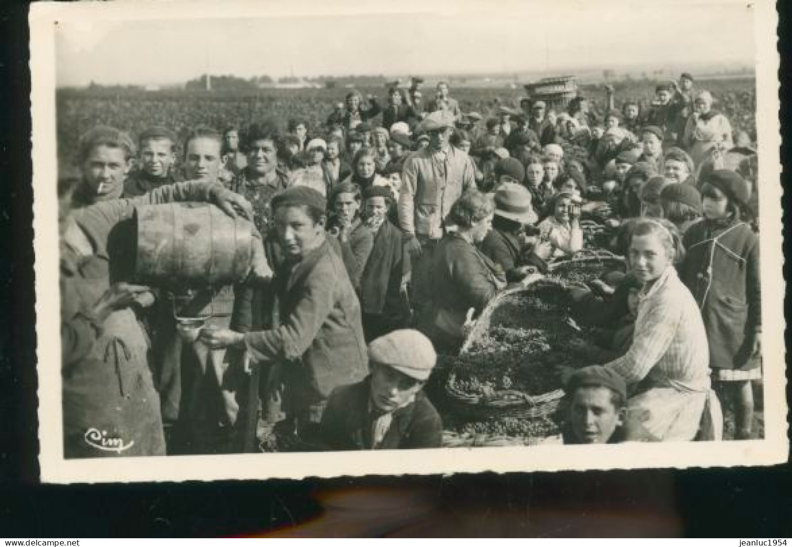 VENDANGES EN CHAMPAGNE ANNEES 50      ( MES PHOTOS NE SONT PAS JAUNES ) - Sens