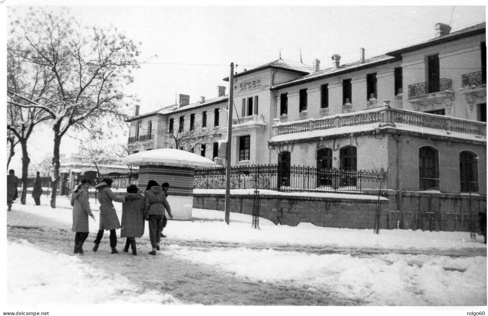 Sétif ( Type Photo / Carte Photo ) Le Lycée Sous La Neige - Sétif