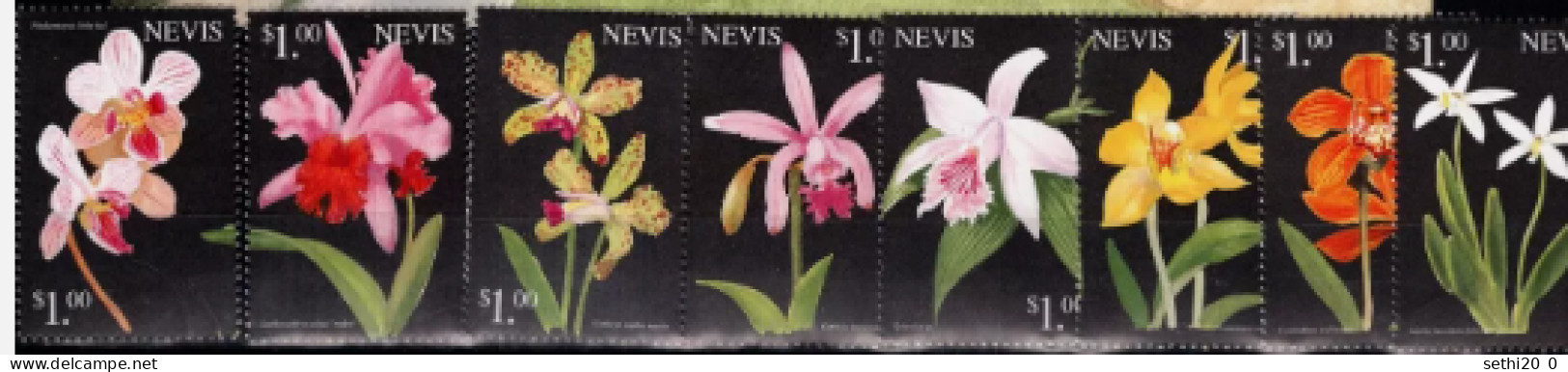 Nevis  Fleurs Flowers  Orchids Orchidées MNH - Orchideeën