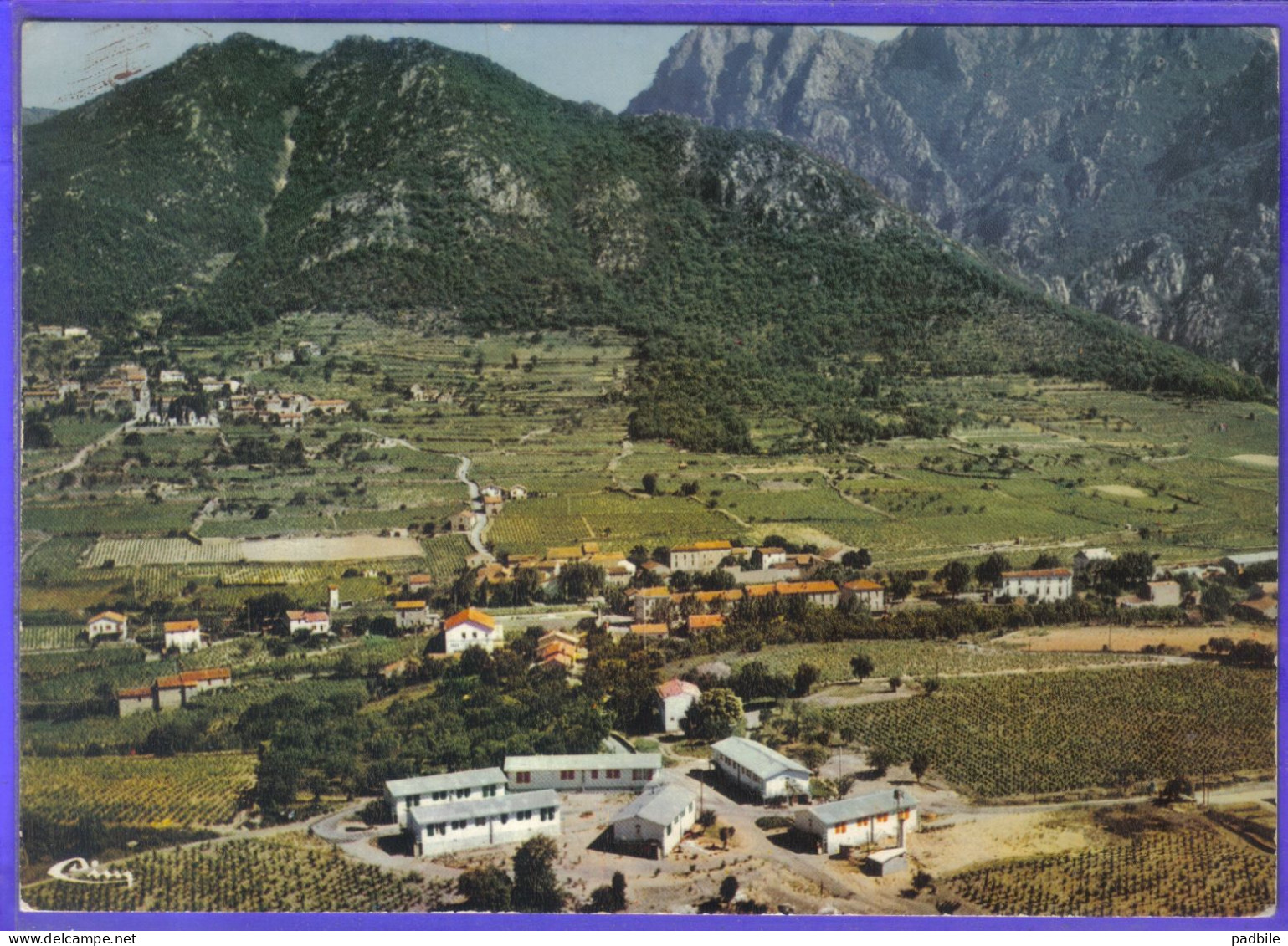 Carte Postale 34. Mons-la-Trivalle  Vue Aérienne   Très Beau Plan - Other & Unclassified