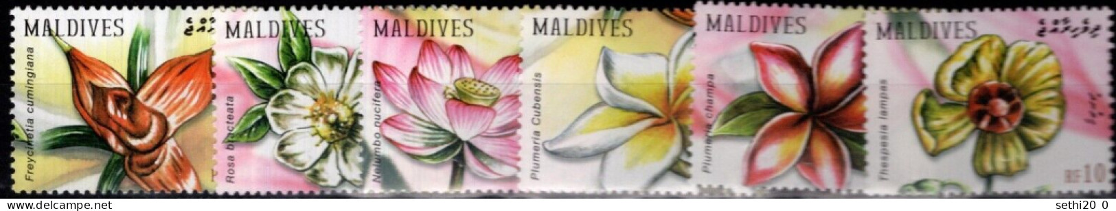 Maldives Fleurs Flowers MNH - Other & Unclassified