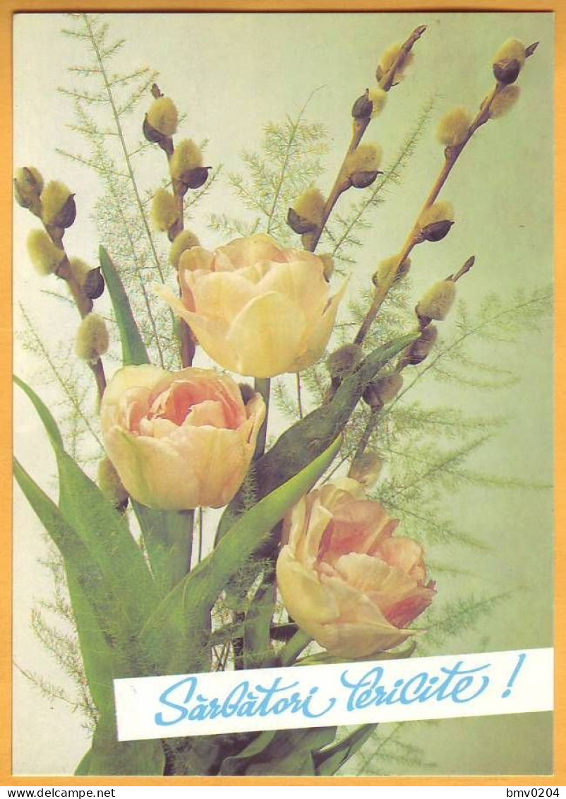 2016  Moldova Moldavie Moldau. Christian Holidays. Palm Sunday. FDC Postcard - Christianity