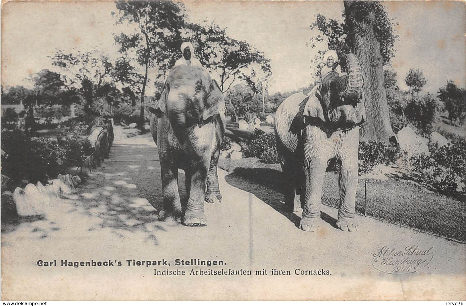 ALLEMAGNE - STELLINGEN - Carl Hagenbeck's Tierpark - éléphant - Indische Arbeitselefanten Mit Ihren Cornacks - Stellingen