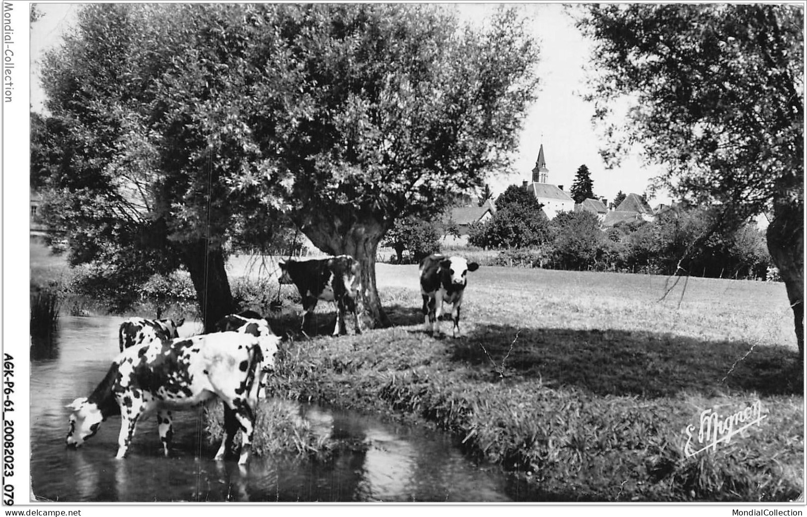 AGKP6-0498-61 - BELLOU-SUR-HUISINE - Paturage Au Bord De L'huisne  - Sonstige & Ohne Zuordnung