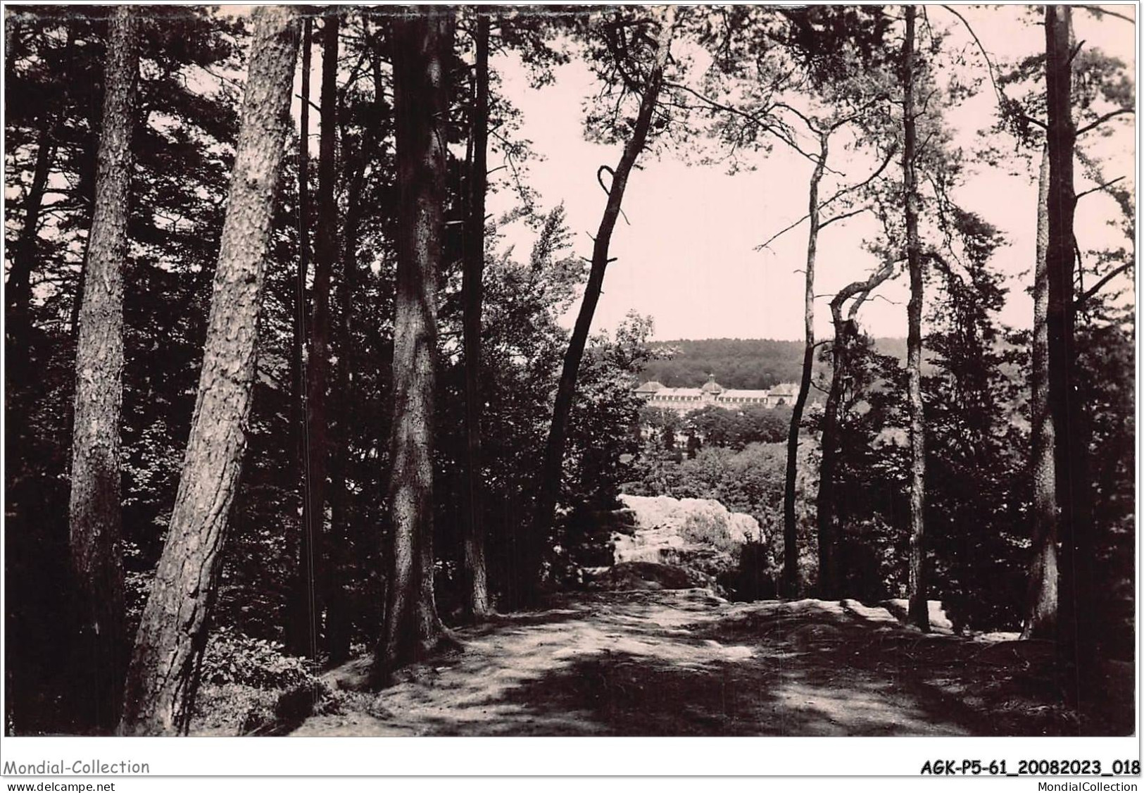 AGKP5-0383-61 - BAGNOLES-DE-L'ORNE - Vue Prise Du Roc Au Chien  - Bagnoles De L'Orne