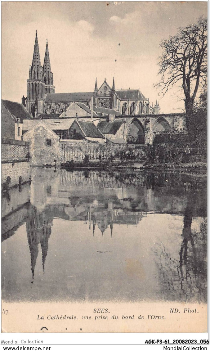 AGKP3-0217-61 - SEES - La Cathédrale - Vue Prise Du Bord De L'orne  - Sees