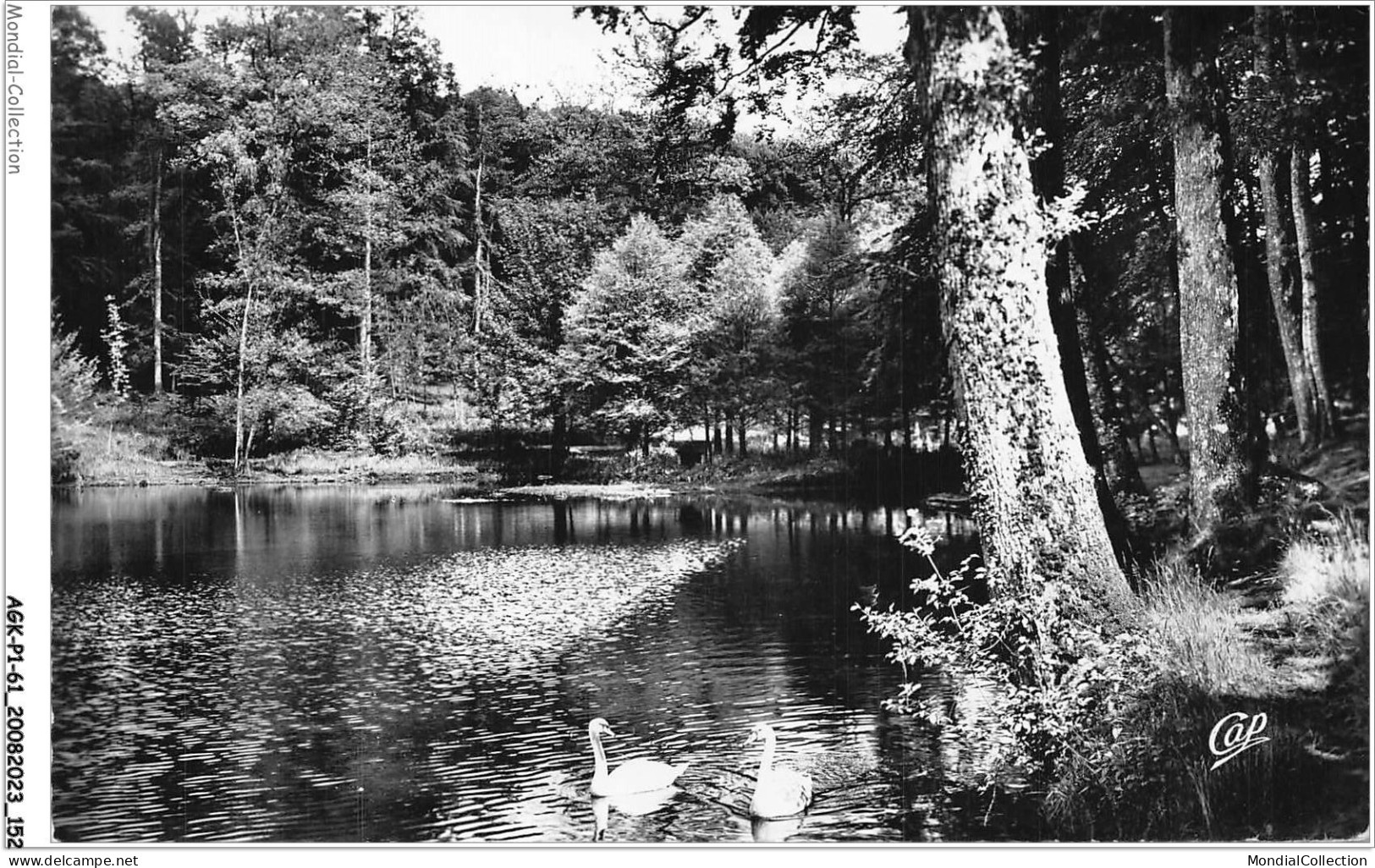 AGKP1-0077-61 - Forêt De BELLEME - Etang De La Herse  - Andere & Zonder Classificatie