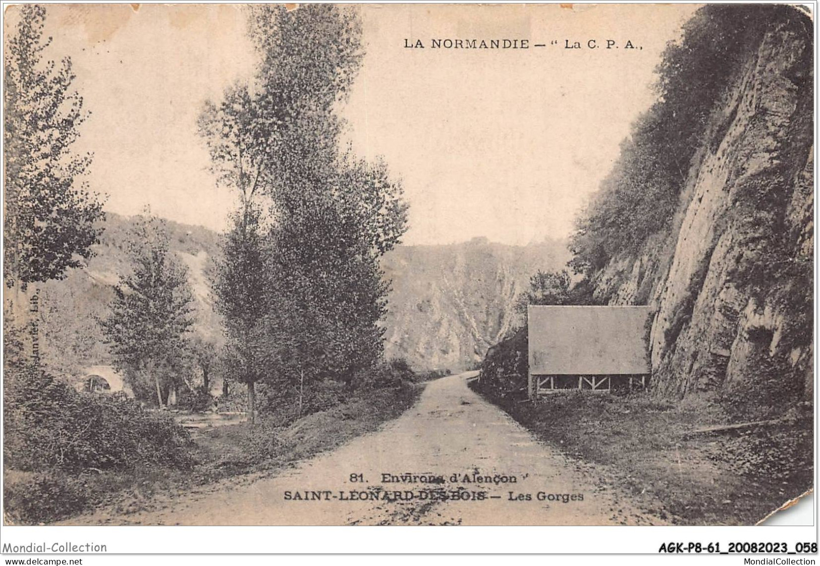 AGKP8-0675-61 - Environs D'ALENCON - SAINT-LEONARD-DES-BOIS - Les Gorges  - Alencon