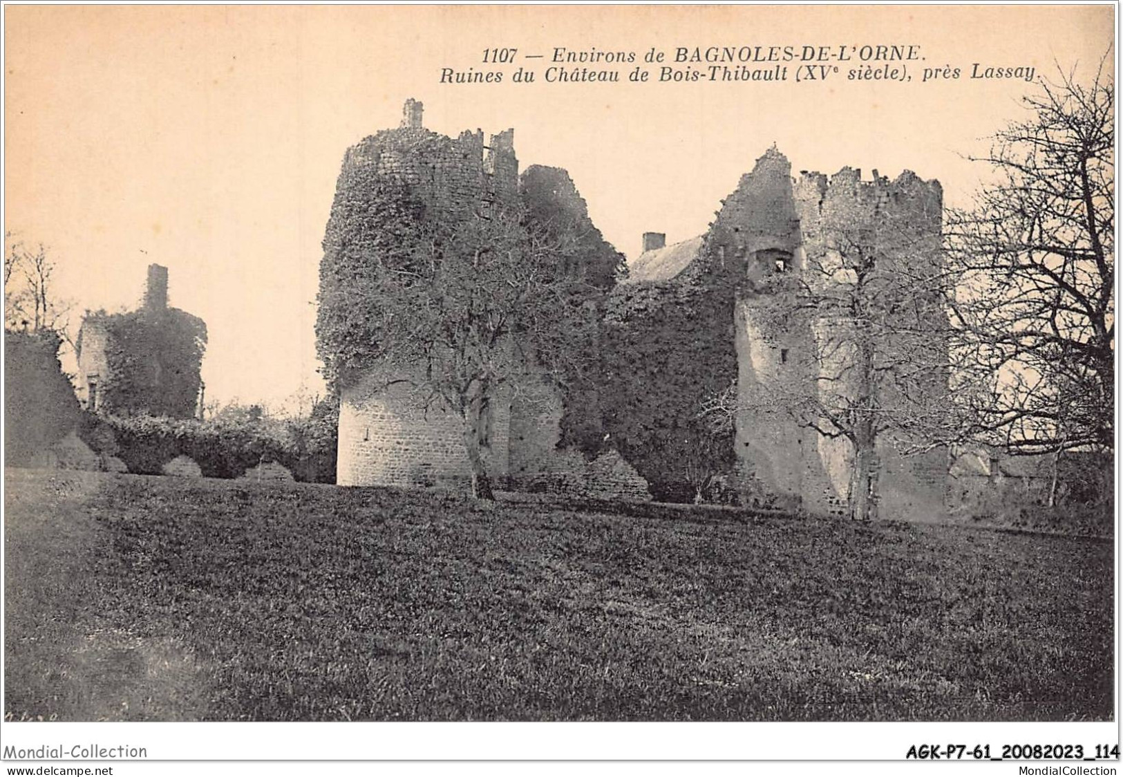 AGKP7-0599-61 - ENVIRONS DE BAGNOLES-DE-L'ORNE - Ruines Du Chateau Du Bois Thibault - Près Lassay - Andere & Zonder Classificatie