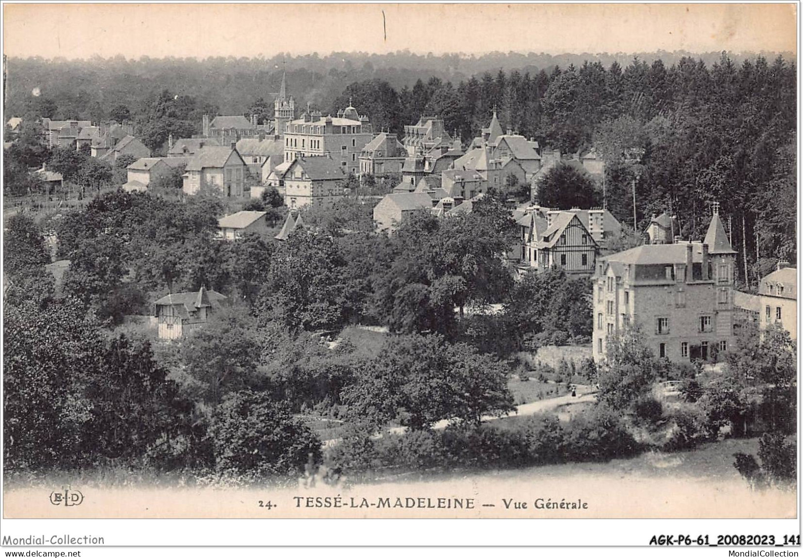 AGKP6-0529-61 - TESSE-LA-MADELEINE - Vue Générale  - Bagnoles De L'Orne