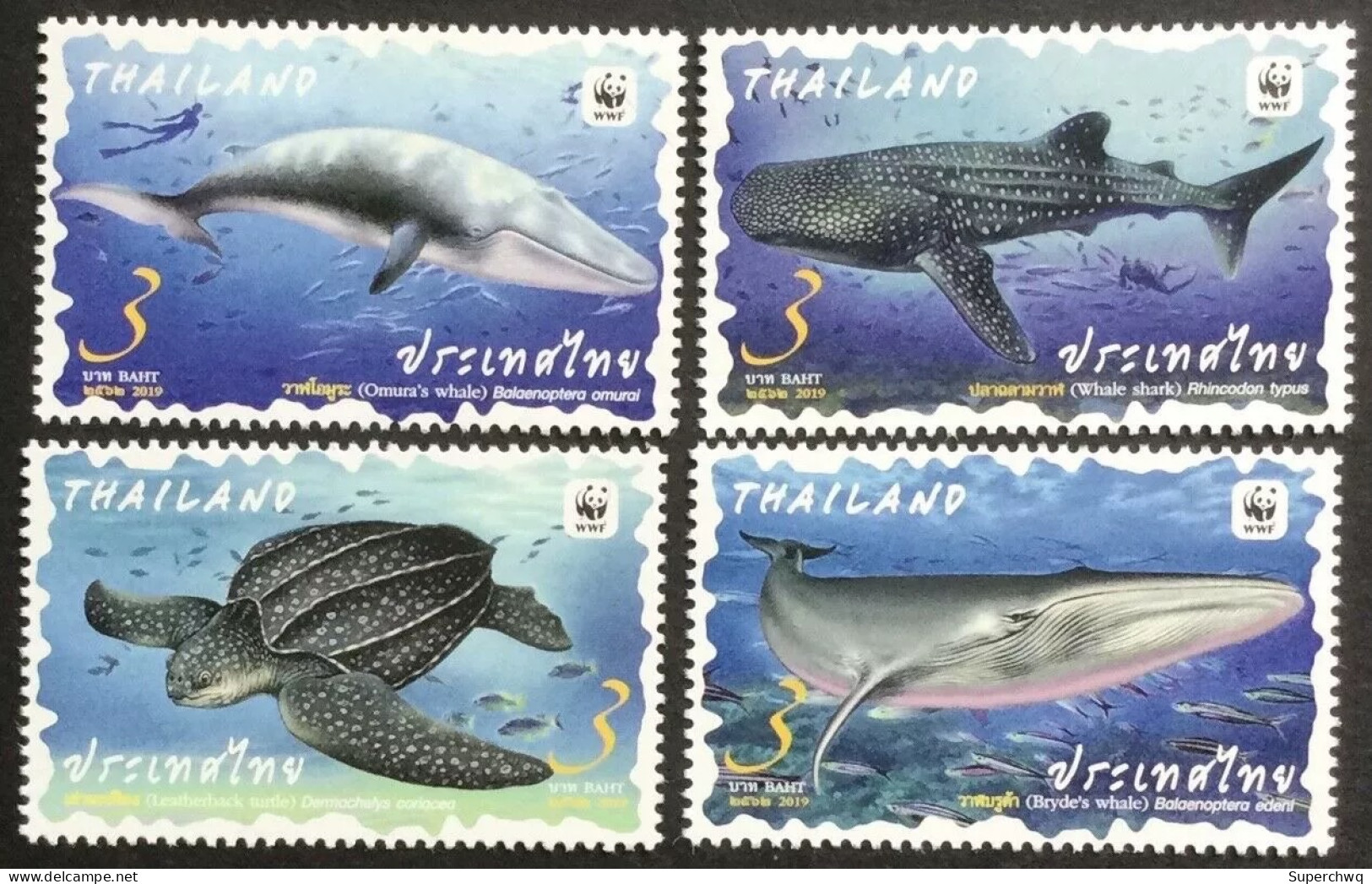 Thailand 2019 WWF Marine Animals,4v MNH - Thailand