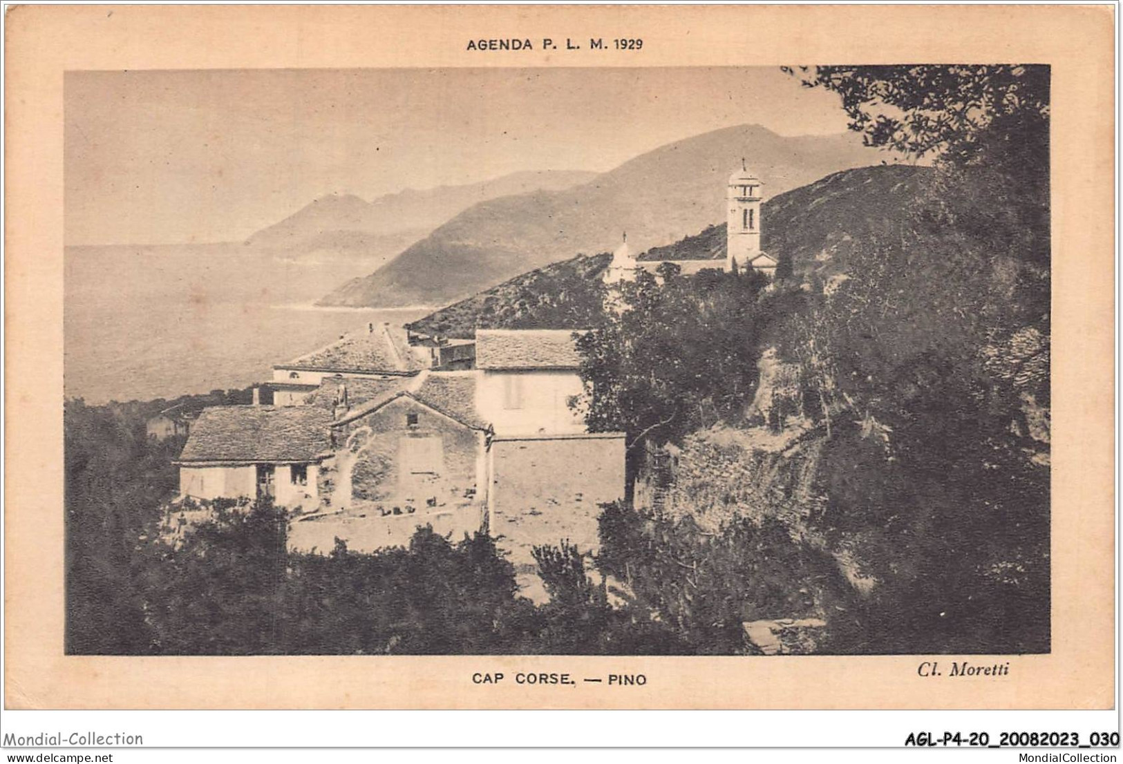 AGLP4-0278-20 - CAP CORSE - PINO - Other & Unclassified
