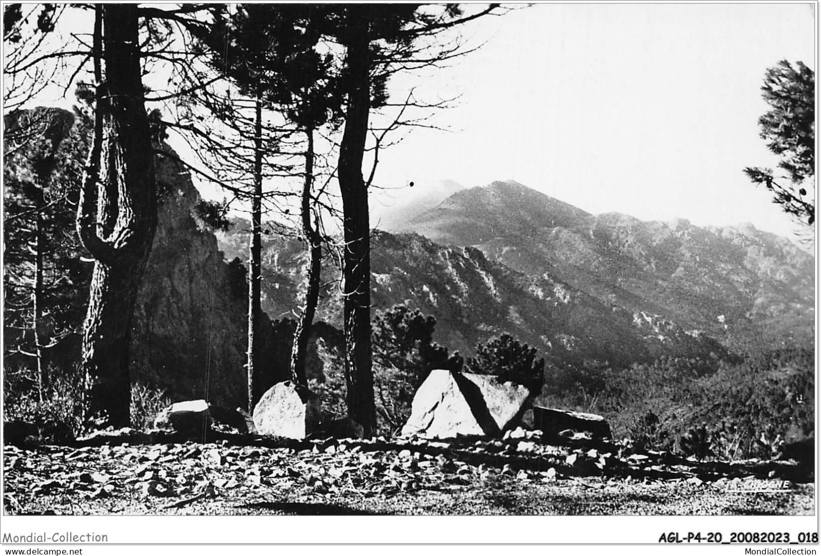 AGLP4-0272-20 - De PETRETO A AULLENE - Le Col De Tana - Vue Sur Le Bois De Valle-Mala Et La Pointe De Carbone - Ajaccio