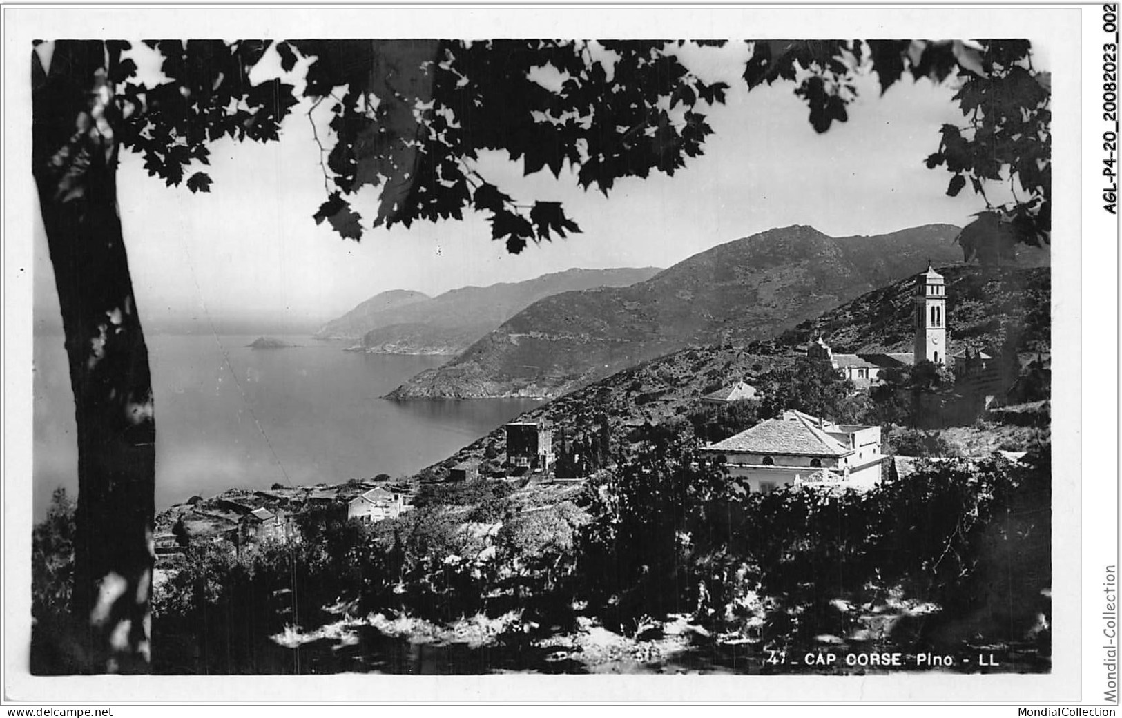 AGLP4-0264-20 - CAP CORSE - Pino - Other & Unclassified