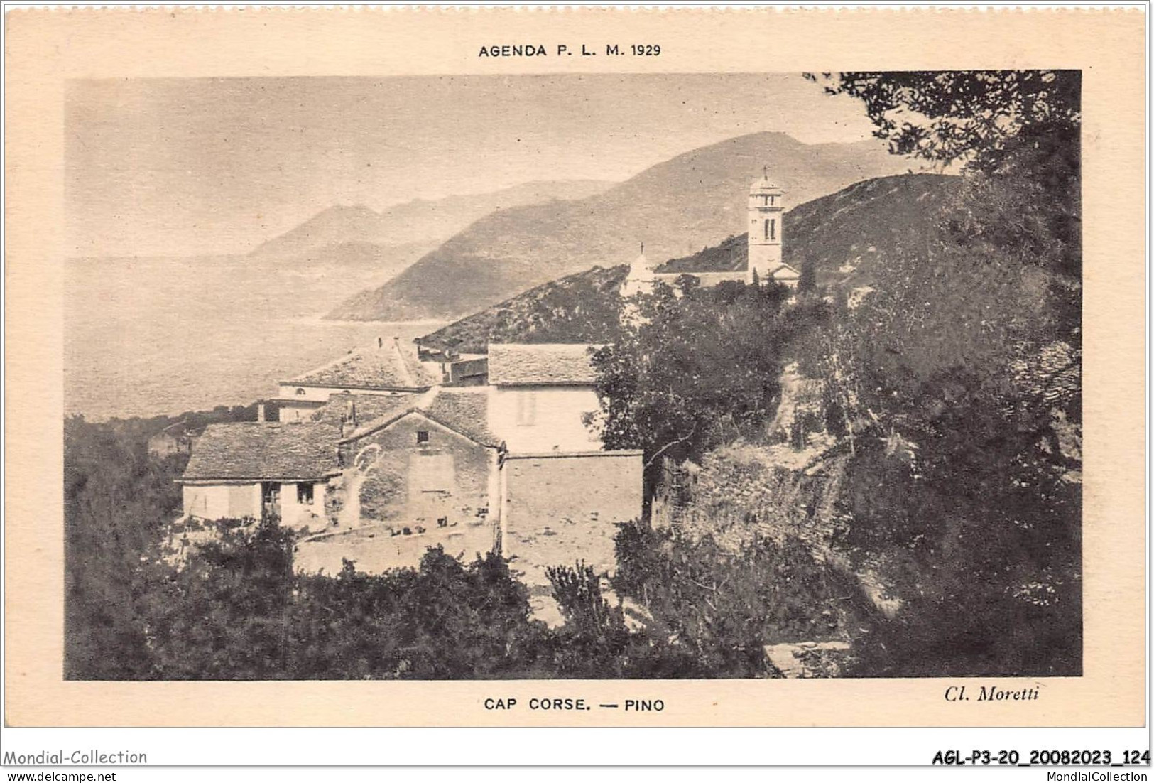 AGLP3-0243-20 - CAP CORSE - PINO - Other & Unclassified