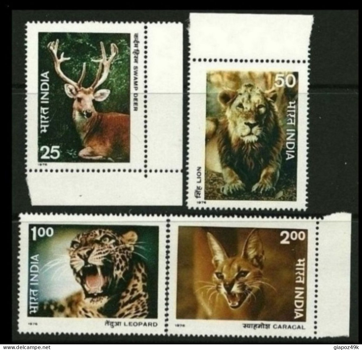 ● INDIA 1976 ֍ ANIMALI ️֍ Lion, Leopard, Caracal, Swamp Deer ● ️n. 494 / 97 ** ● Serie Completa ● Cat. ? € ️● Lotto 204 - Nuovi