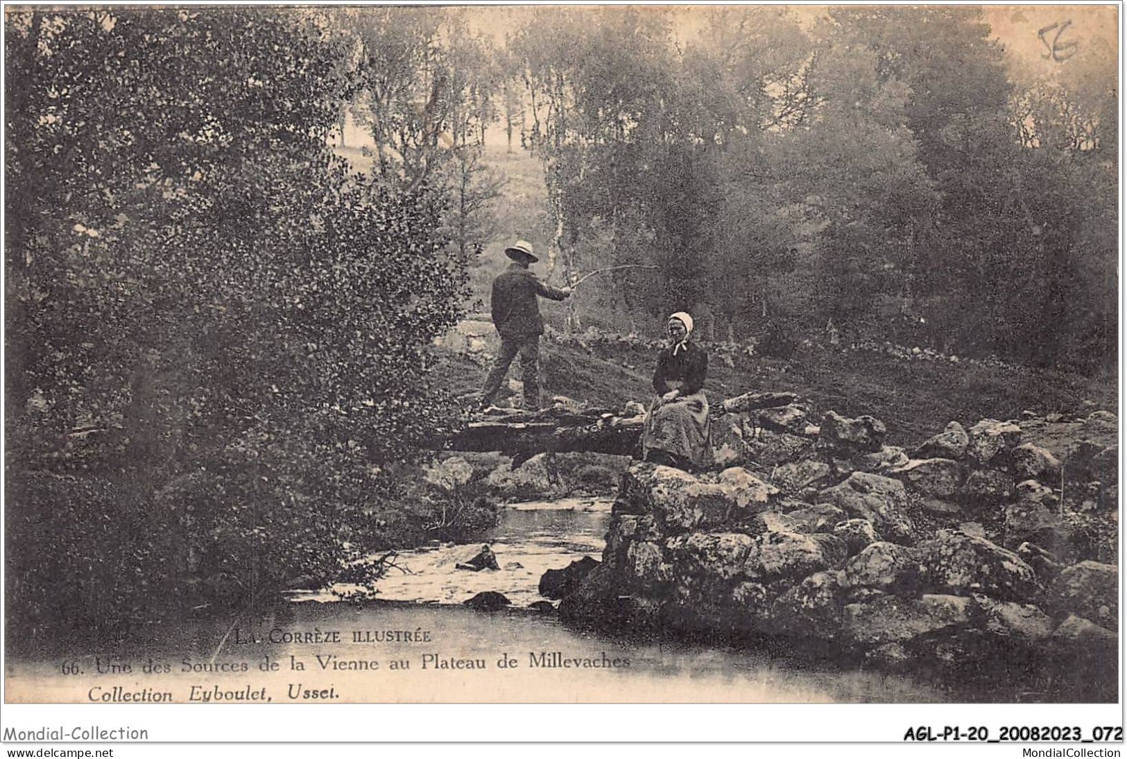 AGLP1-0037-20 - LA CORREZE ILLUSTREE -  Une Des Sources De La Vienne Au Plateau Millevaches - Autres & Non Classés