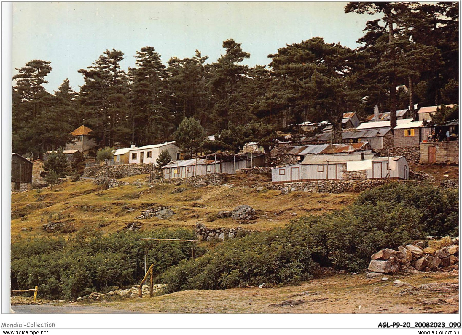 AGLP9-0663-20 - CORSE - ILE DE BEAUTE - Col De BAVELLA - Le Village - Ajaccio