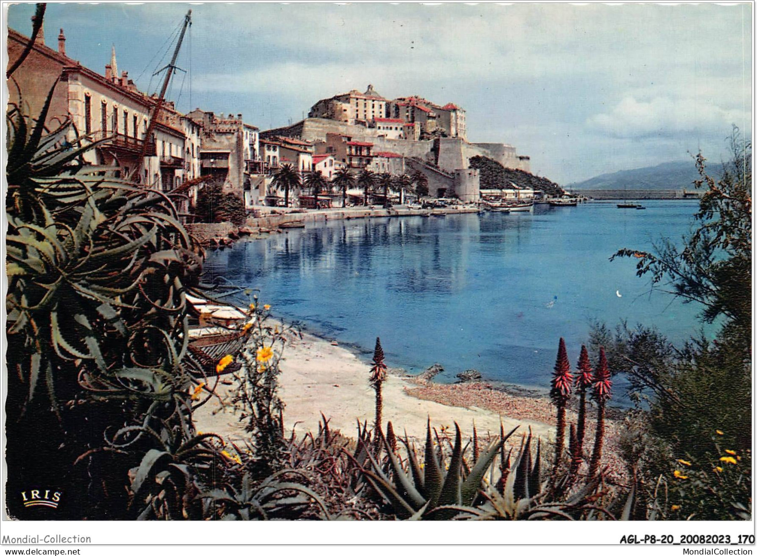 AGLP8-0609-20 - Dans Le Miroir D'un Golfe Aux Eaux Calmes - La Citadelle De CALVI - Calvi