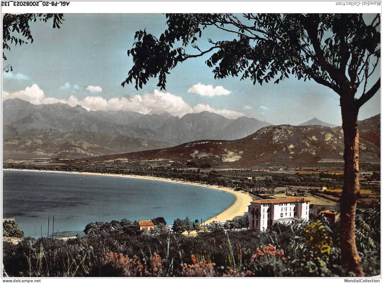 AGLP8-0590-20 - LA CORSE - ILE DE BEAUTE - CALVI - L'hotel - Calvi Palace - La Plage Et Le Golfe - Calvi