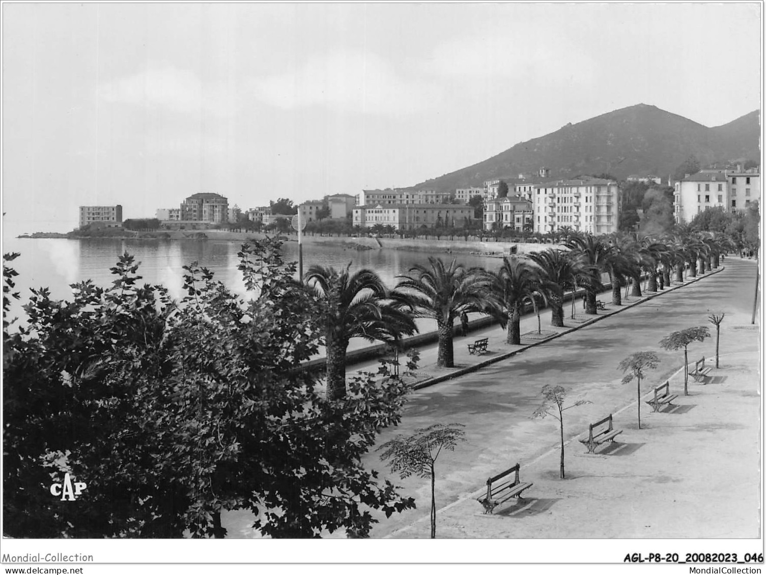 AGLP8-0547-20 -  AJACCIO - Boulevard Albert Ier - Ajaccio